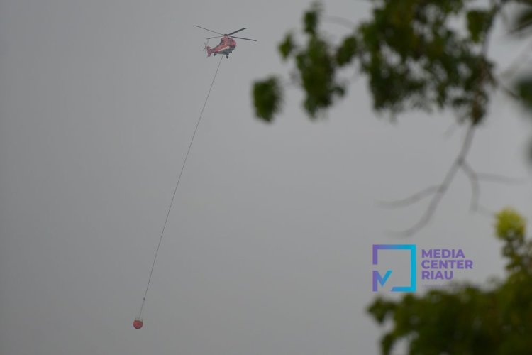 BPBD Riau Ajukan Kembali TMC Hujan Buatan ke Pemerintah Pusat, Kualitas Udara Tidak Sehat