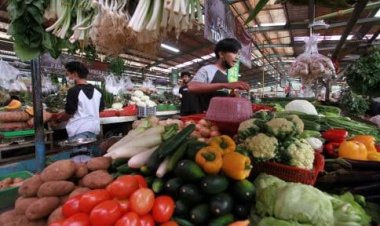 Beberapa Komoditas Ini Jadi Penyumbang Inflasi Riau Per Oktober 2023