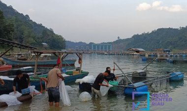 Elevasi Waduk 82.31 MDPL, PLTA Koto Panjang akan Buka Pintu Pelimpah Air