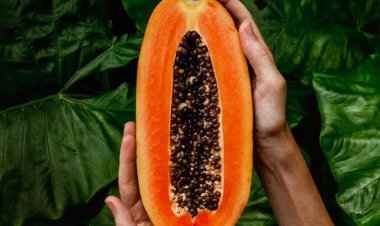 3 Manfaat Buah Pepaya bagi Tubuh