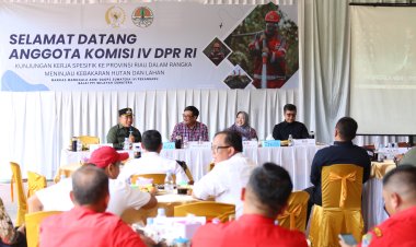 Husni Paparkan Upaya Pencegahan Karhutla di Siak di Hadapan Komisi IV DPR RI