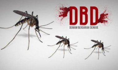 Antisipasi Kasus DBD di Pekanbaru, Diskes Imbau Warga Terus Lakukan 3M Plus