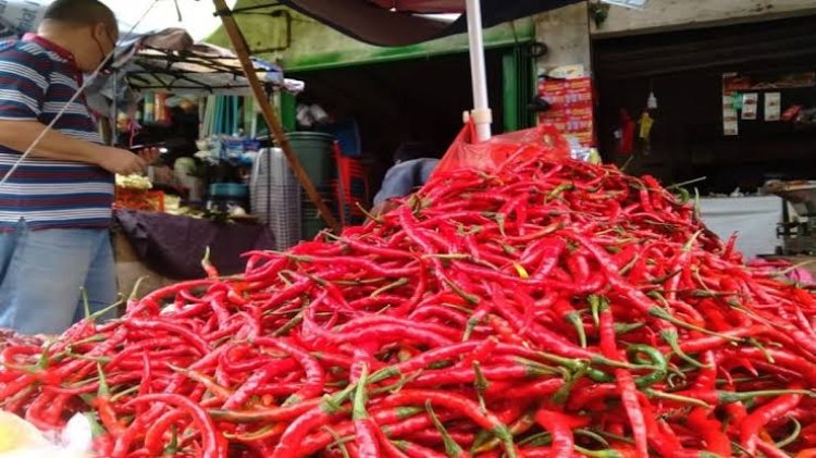 Dampak El Nino, Harga Cabai Merah Tembus Rp100 Ribu per Kilogram