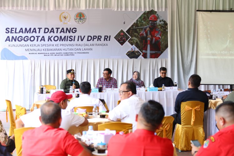 Husni Paparkan Upaya Pencegahan Karhutla di Siak di Hadapan Komisi IV DPR RI