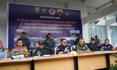 600 Ha Berubah Jadi Lahan Sawit, Tim Gabungan Tertibkan 36 Pondok Perambah Hutan di TNTN