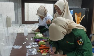 Disketapang Pekanbaru Uji Residu 15 Komoditas Pangan Sayuran dan Buah-buahan di Pasar, Ini Hasilnya