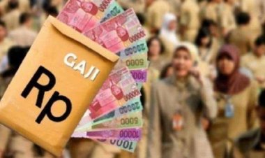 Skema Single Salary ASN Berubah, Ada Bonus Akhir Tahun