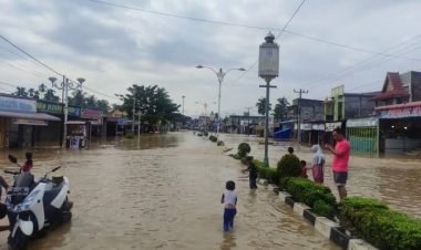 Curah Hujan Tinggi, BPBD Catat Lima Daerah di Riau Dilanda Banjir