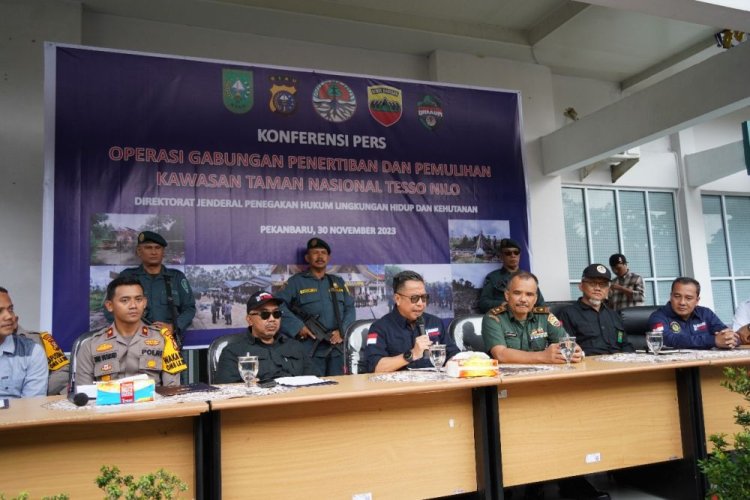600 Ha Berubah Jadi Lahan Sawit, Tim Gabungan Tertibkan 36 Pondok Perambah Hutan di TNTN