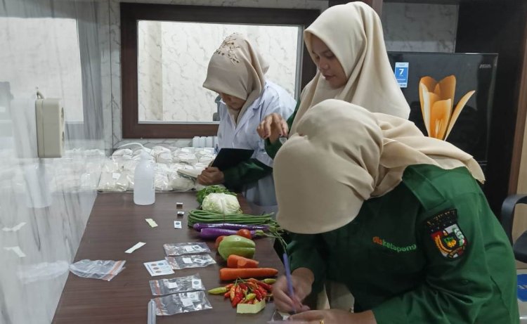 Disketapang Pekanbaru Uji Residu 15 Komoditas Pangan Sayuran dan Buah-buahan di Pasar, Ini Hasilnya