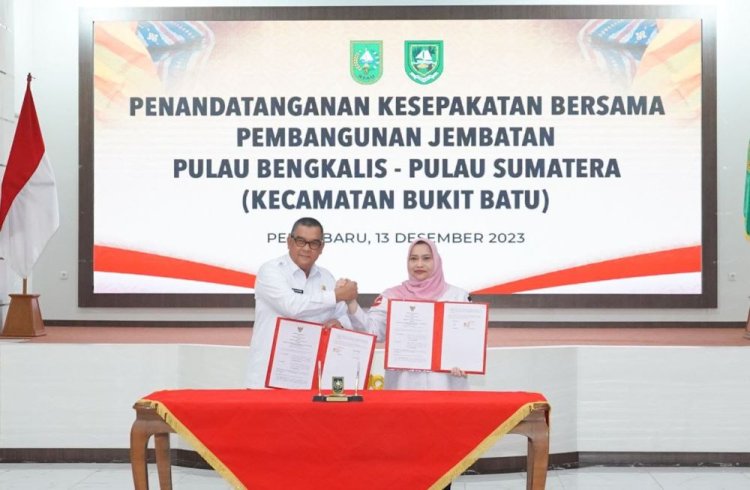 Gubri Edy Natar Nasution Ungkap 5 Alasan Jembatan Pulau Bengkalis-Pulau Sumatera Perlu Dibangun, Simak Rinciannya