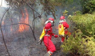 Refleksi Kinerja KLHK 2023, Karhutla Turun 39,80 Persen