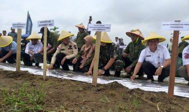 Canangkan Gerakan Menanam Cabai, Pj Wali Kota Pekanbaru Luncurkan Pekanbaru Bertani