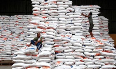 Stok Beras Bulog Dipastikan Aman untuk Ramadan dan Idul Fitri 1445 H