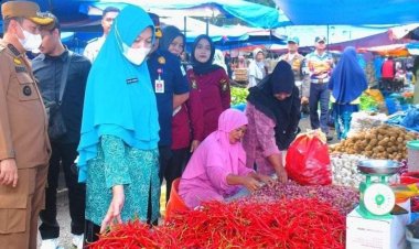 Pastikan Stabilitas Harga dan Ketersediaan Sembako, Pj Bupati Kampar Tinjau Pasar Inpres Bangkinang Kota