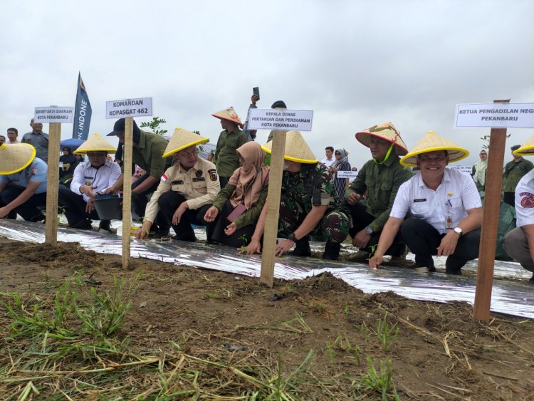 Canangkan Gerakan Menanam Cabai, Pj Wali Kota Pekanbaru Luncurkan Pekanbaru Bertani