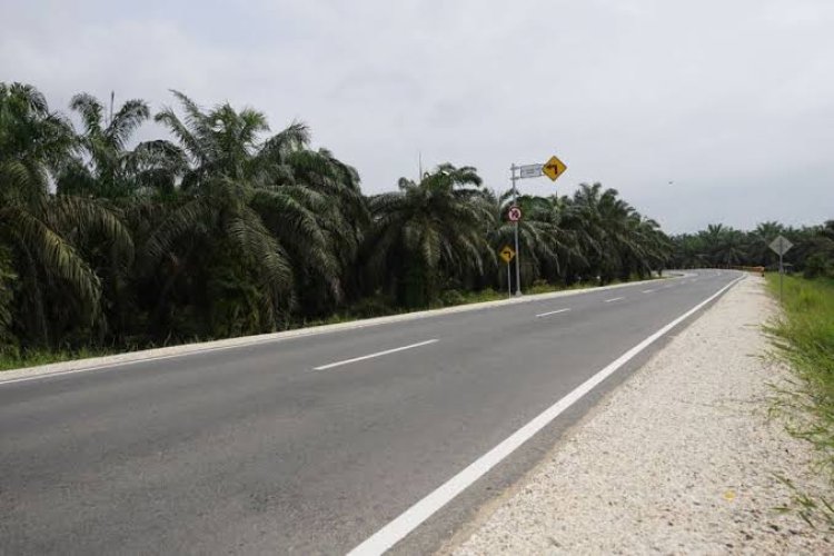12 Ruas Jalan di Kabupaten Kampar Jadi Kewenangan Pemprov, Ini Wilayahnya