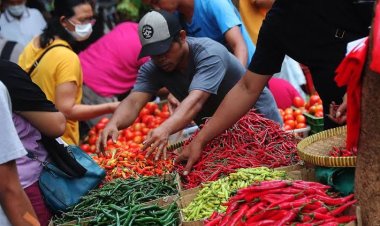 Kemenko Perekonomian: Harga Pangan pada Maret 2024 mulai Turun