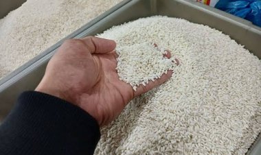 Dirut Bulog Prediksi Harga Beras Tidak Turun ke Harga Semula