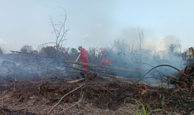 Tim Manggala Agni Daops Sumatera IV/Pekanbaru Padamkan Karhutla di Desa Karya Indah Kampar, Ini Kendalanya
