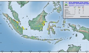 Terbanyak di Kabupaten Kepulauan Meranti, Jumlah Hotspot di Riau 124 Titik