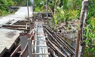 Antisipasi Banjir di Desa Mengkirau Kepulauan Meranti, Dinas PUPR PKPP Riau Bangun Tanggul 54 MeterÂ