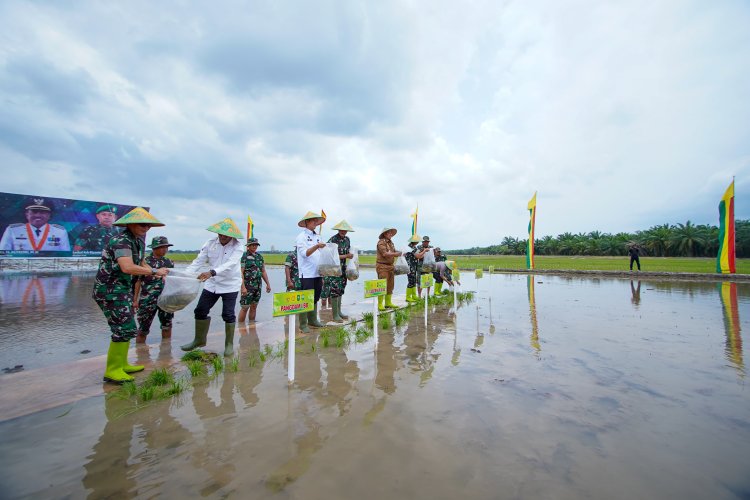 Tutup TMMD ke-119, Irjen AD Letjen Erwin Djatmiko dan Bupati Siak Tanam Padi di Sabak Auh