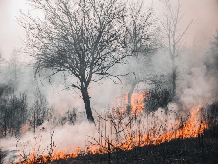Riau Siaga Hadapi Cuaca Ekstrem dan Karhutla, Gubri Abdul Wahid: Kita Harus Hati-hati