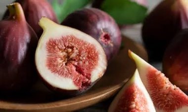 2 Buah Ini Disebut dalam Al-Qur'an, Efektif Turunkan Kolesterol