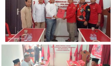 HM Rafee Mendaftar ke PDIP Sebagai Balon Wabup Bengkalis, Masuk Bursa Dampingi Kasmarni