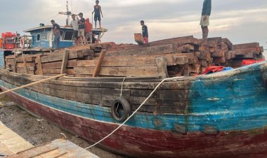 Nakhoda dan KKM Kapal Motor Putri Diana di Kepulauan Meranti Ditangkap Ditreskrimsus Polda Riau, Angkut 70 Ton Kayu Olahan Ilegal