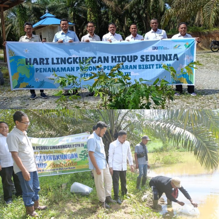 PTPN IV Kebun dan PKS Sei Rokan Tebar Benih Ikan dan Tanam Pohon