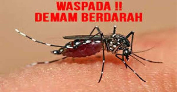 224 Kasus DBD di Pekanbaru dan Satu Orang Meninggal di Dumai