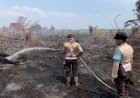 311 Hektare Lahan Terbakar di Tiga Desa, Wakapolres Inhu Berjibaku Padamkan Api Karhutla