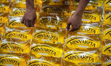 HET Minyakita Masih Rp14 Ribu per Liter, Disperindagkop UKM Riau: Permintaan Banyak, Suplai Turun