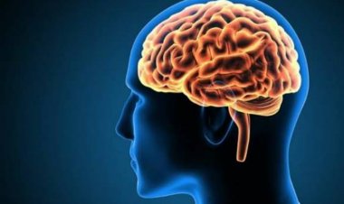 4 Kebiasaan yang Buruk Bagi Otak, Salah Satunya Kurang Bergaul