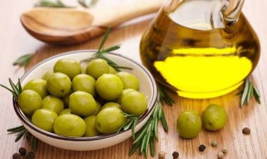 Manfaat Ekstrak Buah Zaitun bagi Kesehatan