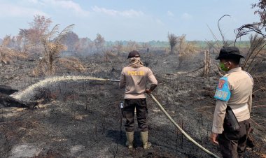 311 Hektare Lahan Terbakar di Tiga Desa, Wakapolres Inhu Berjibaku Padamkan Api Karhutla