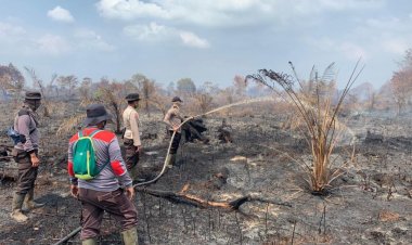 37 Hektare Lahan di 6 Kecamatan Terbakar, Petugas Gabungan Berjibaku Padamkan Karhutla di Rohil