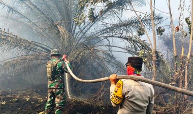 Karhutla di Rohil, TNI-Polri Kompak Bahu Membahu Padamkan Api