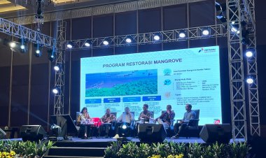 PHR Kurangi Emisi Karbon Setara Emisi 845 Mobil Melalui Konservasi Mangrove di Bandar Bakau