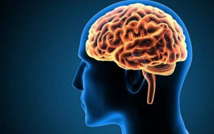 4 Kebiasaan yang Buruk Bagi Otak, Salah Satunya Kurang Bergaul