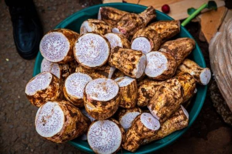 5 Camilan Penurun Asam Urat
