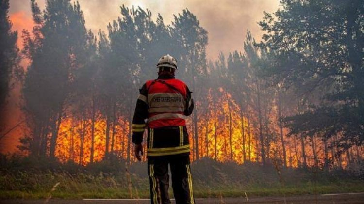 Waspada Cuaca Ekstrem, Riau Dilanda Panas dan Kebakaran Lahan