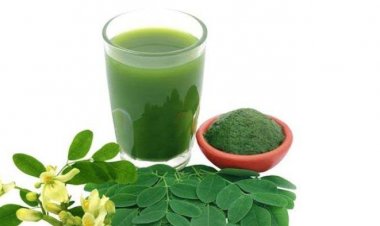 Tanaman Obat Alami Pengendali Gula Darah untuk penderita Diabetes