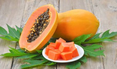 8 Manfaat Makan Buah Pepaya Setiap Hari, Turunkan Risiko Penyakit Ginjal-Jantung