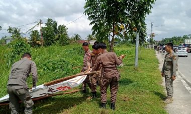 Satpol PP Pekanbaru Tertibkan Spanduk Calon Kepala Daerah di Tiang Listrik hingga Ruang Hijau