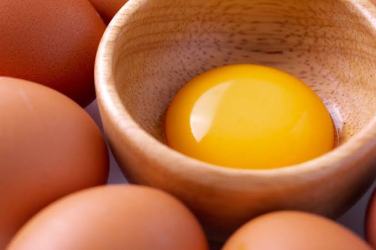 Kandungan Gizi pada Kuning Telur dan Manfaatnya untuk Kesehatan