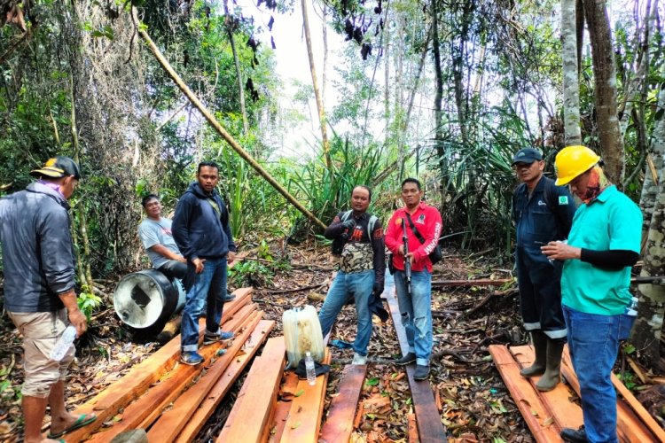 Lima Orang Pembalak Liar di Desa Tamiang Bengkalis Ditangkap, Rambah Area Konsesi Hutan Lindung PT BBHA