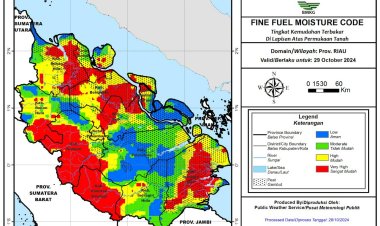 36 Titik Panas Terpantau di Riau